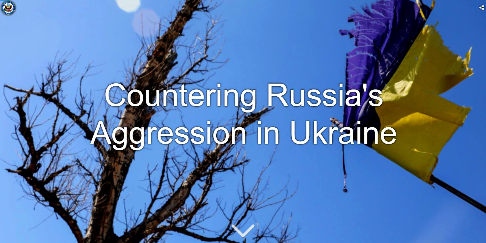 Countering russia`s aggression in Ukraine